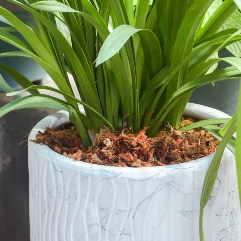 Brique de fibre de coco avec e - Substrate Coconut Fiber avis et prix