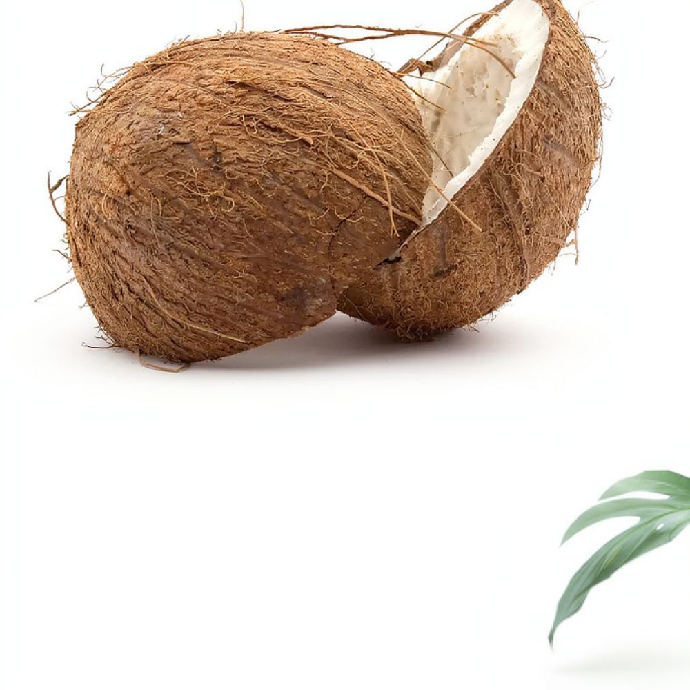 Substrat de terre de coco désh - Substrate Coconut Fiber avis et prix