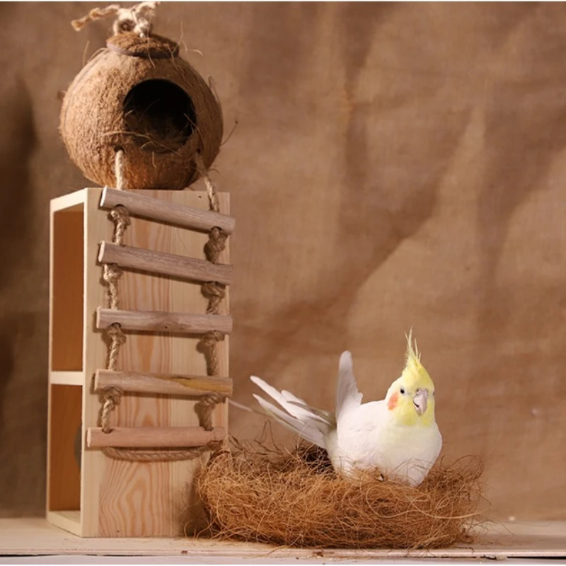 100g Substrat de litière en fi - Substrate Coconut Fiber avis et prix